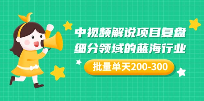 某付费文章：中视频解说项目复盘：细分领域的蓝海行业 批量单天200-300收益 - 趣酷猫