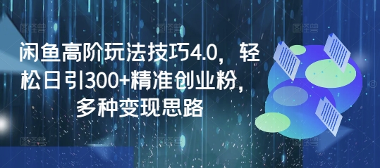 闲鱼高阶玩法技巧4.0，轻松日引300+精准创业粉，多种变现思路 - 趣酷猫