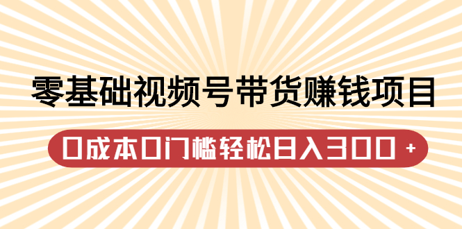 零基础视频号带货赚钱项目，0成本0门槛轻松日入300+【视频教程】 - 趣酷猫