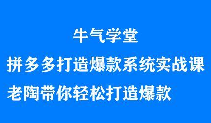 牛气学堂拼多多打造爆款系统实战课，老陶带你轻松打造爆款 - 趣酷猫