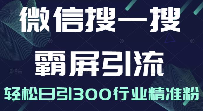 微信搜一搜霸屏引流课，打造被动精准引流系统，轻松日引300行业精准粉【无水印】 - 趣酷猫