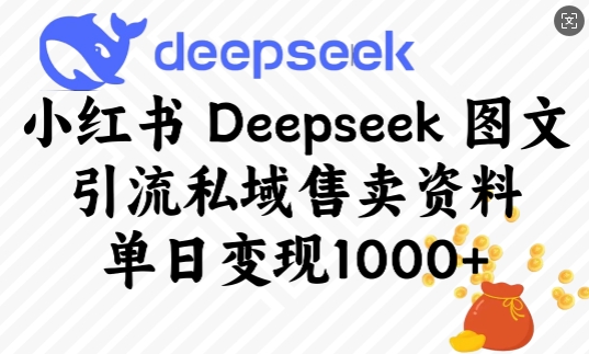 小红书Deepseek图文引流私域售卖资料，单日变现多张 - 趣酷猫