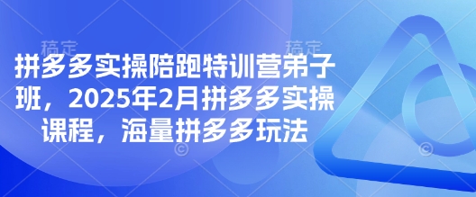 拼多多实操陪跑特训营弟子班，2025年2月拼多多实操课程，海量拼多多玩法 - 趣酷猫