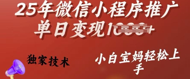 25年微信小程序推广单日变现多张，独家技术，小白宝妈轻松上手【揭秘】 - 趣酷猫